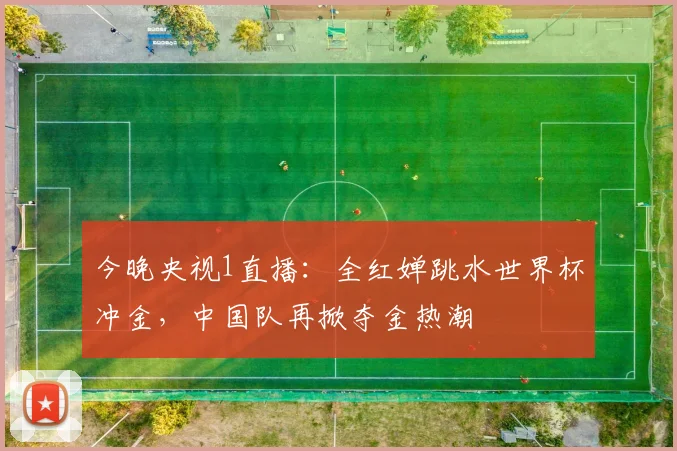 今晚央视1直播:全红婵跳水世界杯冲金,中国队再掀夺金热潮