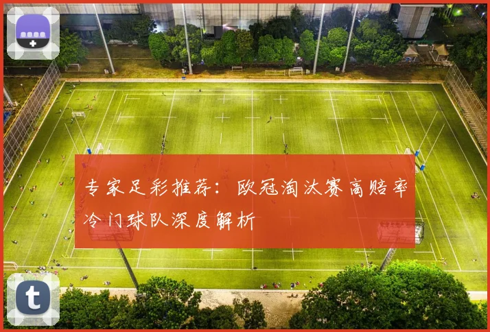 专家足彩推荐：欧冠淘汰赛高赔率冷门球队深度解析